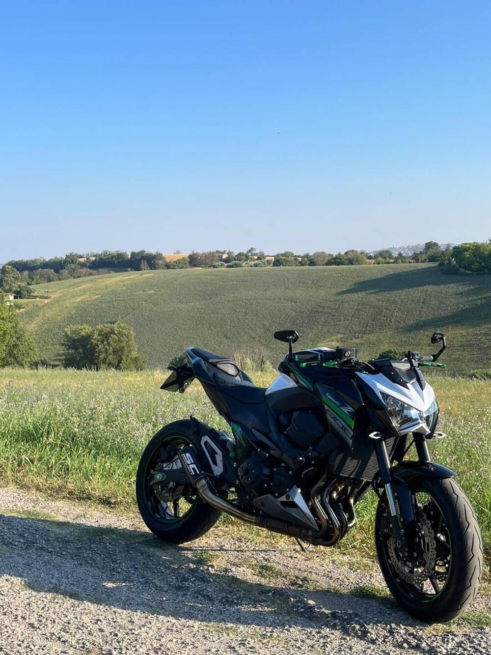 Kawasaki Z 800 ABS (2012 - 16) (13)