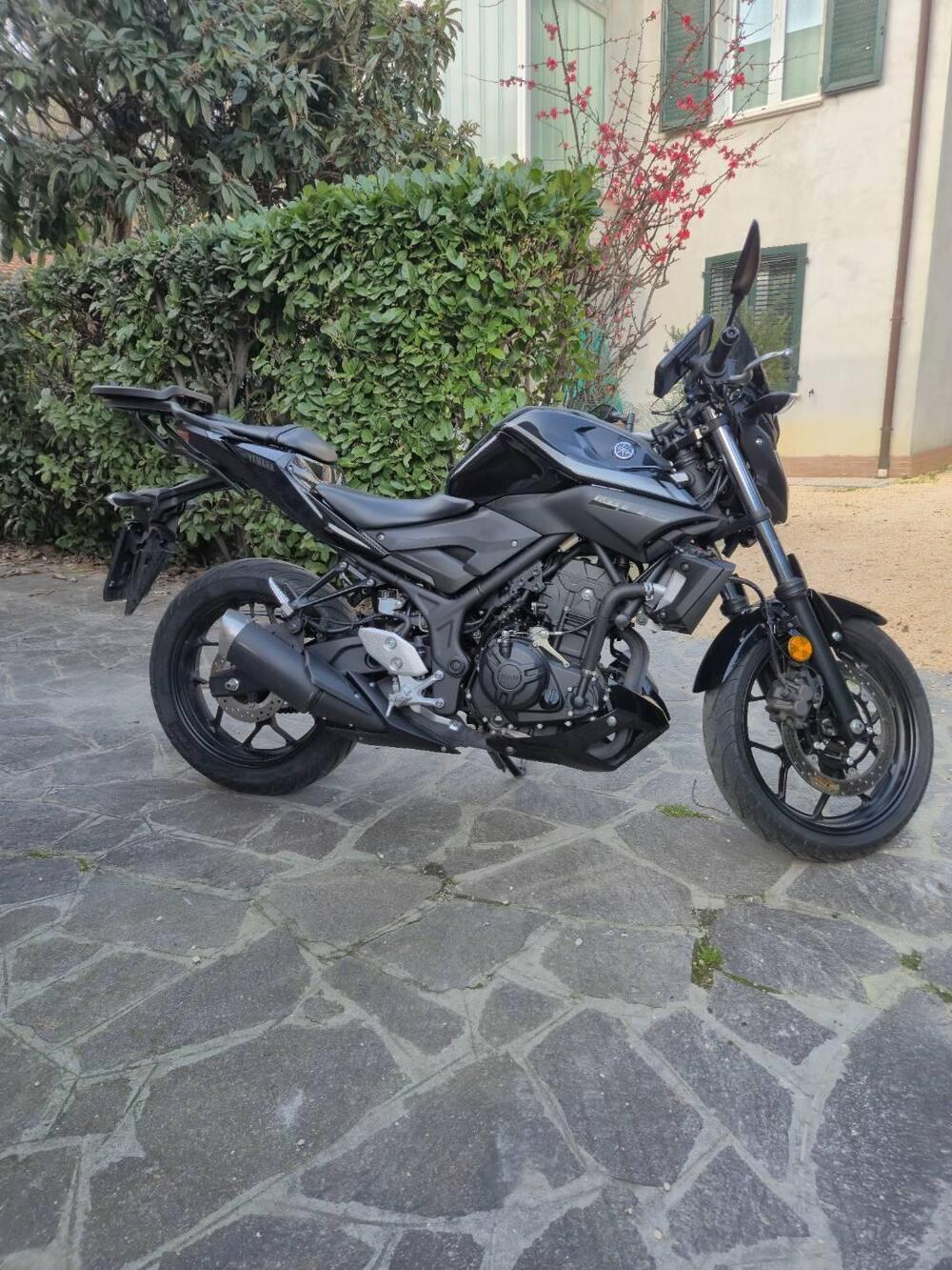 Yamaha MT-03 (2018 - 19) (2)