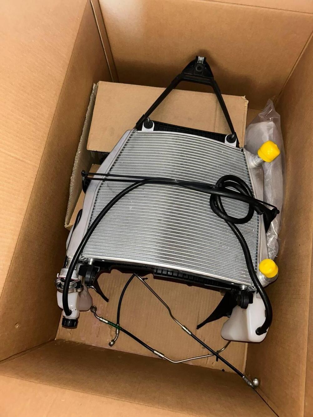 Ducati Panigale V4 R 1000 (2019 - 20) (20)