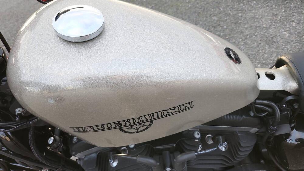 Harley-Davidson 1200 Forty-Eight (2010 - 15) (2)