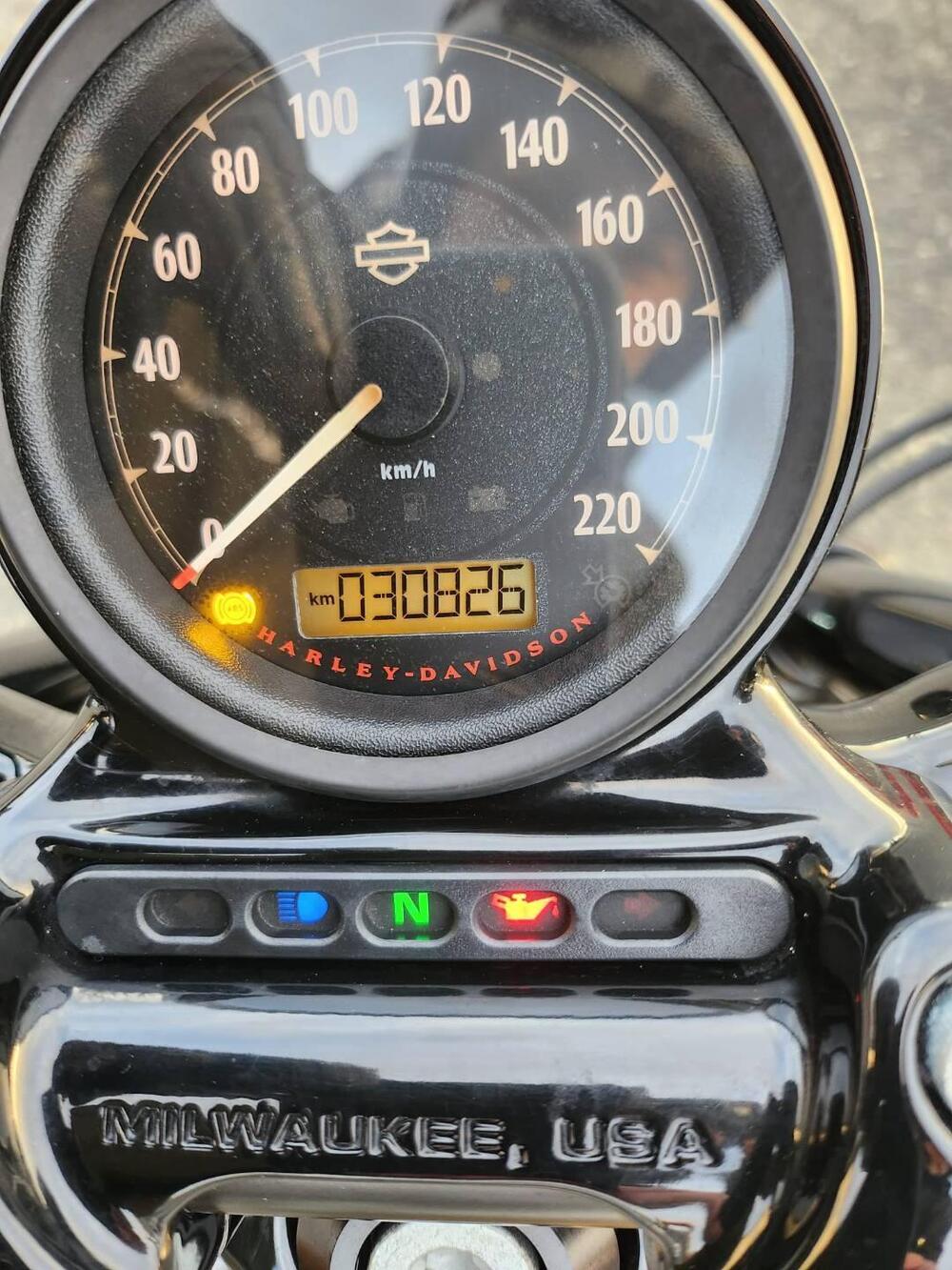 Harley-Davidson 1200 Forty-Eight (2010 - 15) (14)