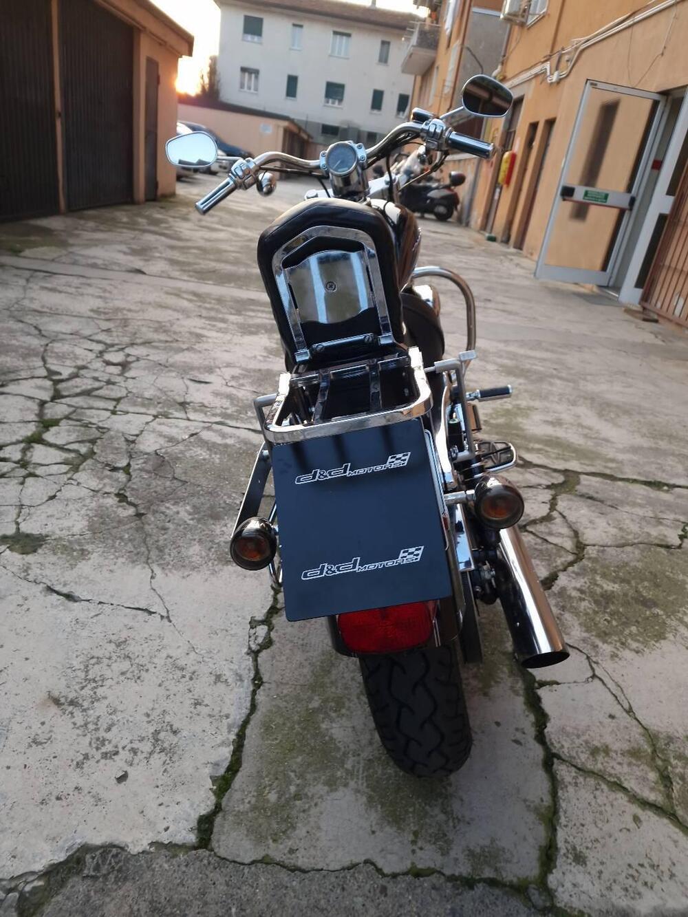 Harley-Davidson 1200 Custom (2007 - 13) - XL 1200C (7)