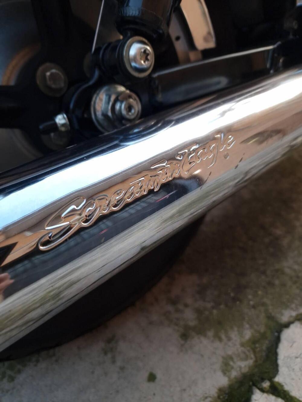 Harley-Davidson 1200 Custom (2007 - 13) - XL 1200C (11)