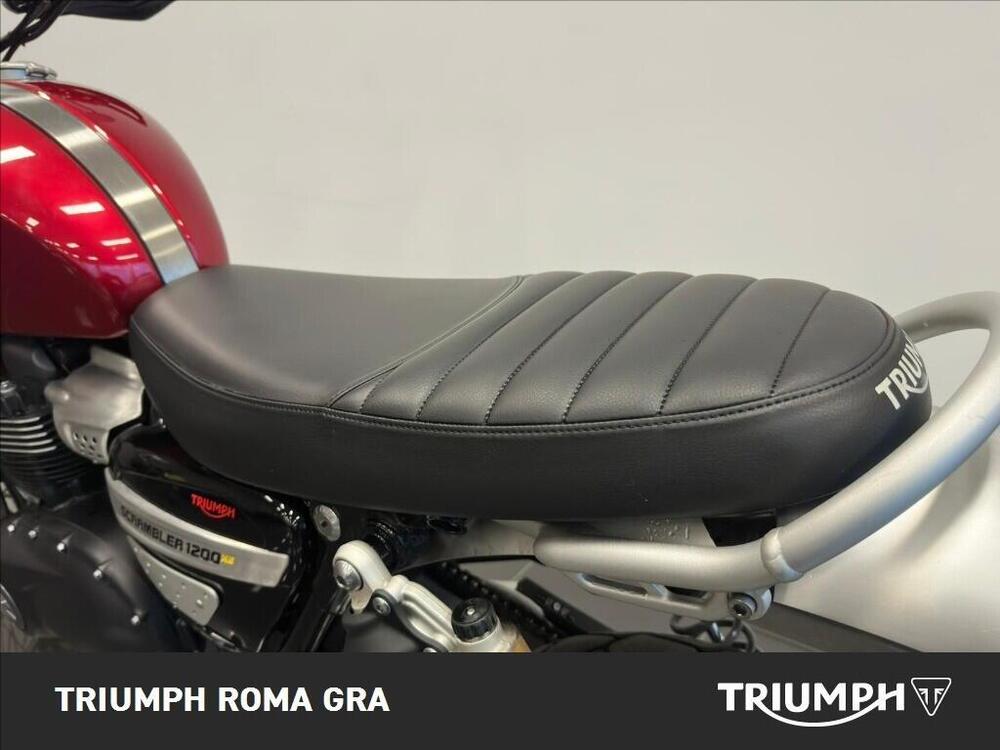 Triumph Scrambler 1200 XE (2021 - 23) (12)