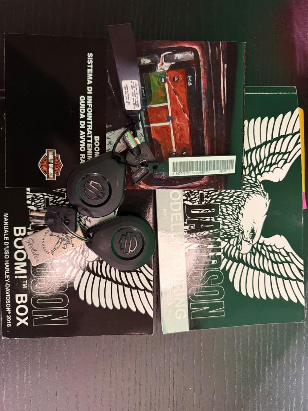 Harley-Davidson 107 Street Glide Special (2017 - 19) - FLHXS (19)