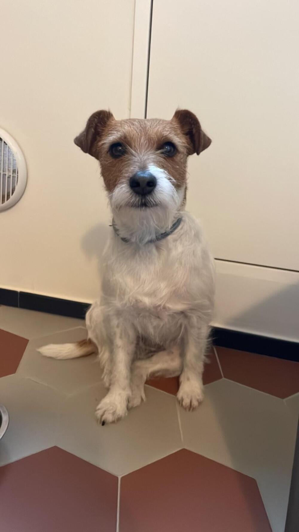 Bmw R 850 R Comfort (2004 - 07) (5)