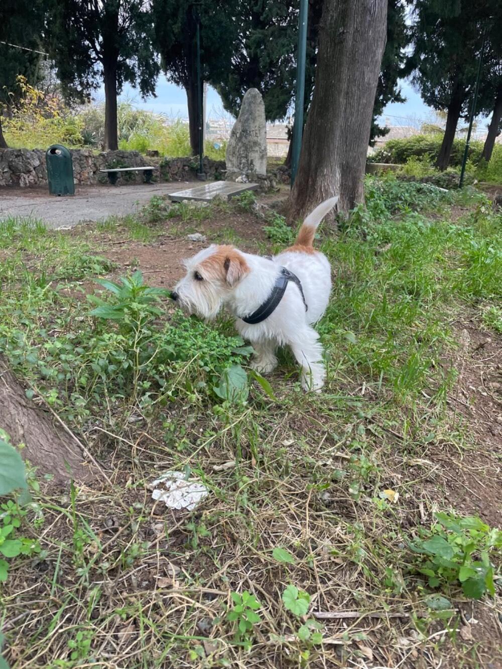 Bmw R 850 R Comfort (2004 - 07) (6)