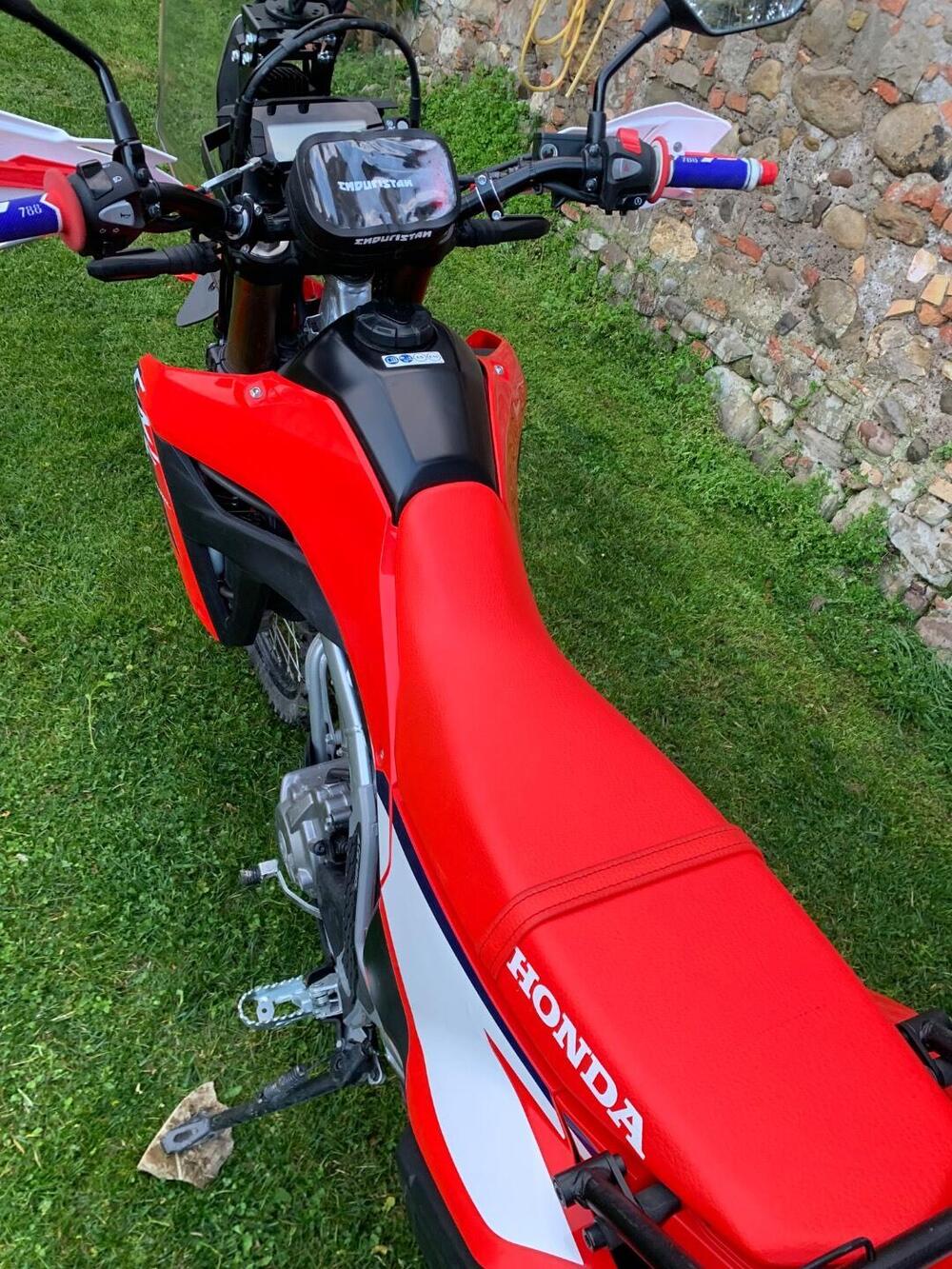 Honda CRF 300L (2025 - 26) (13)