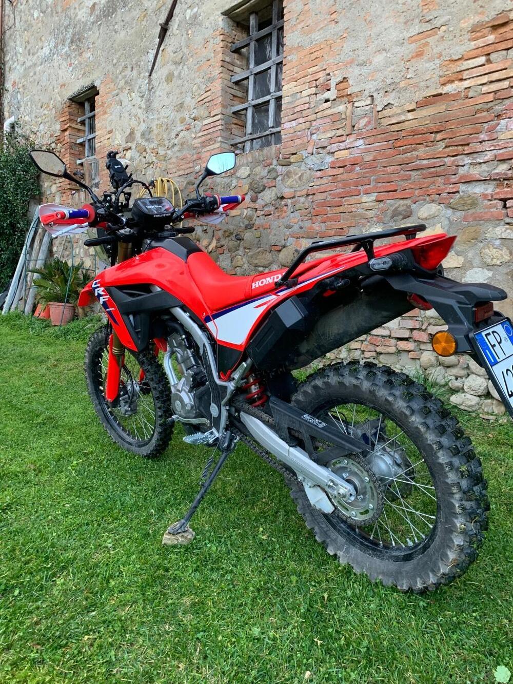 Honda CRF 300L (2025 - 26) (17)