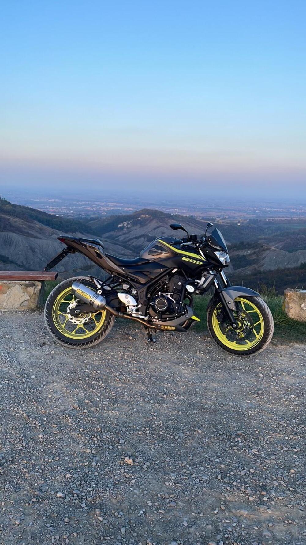 Yamaha MT-03 (2018 - 19) (3)