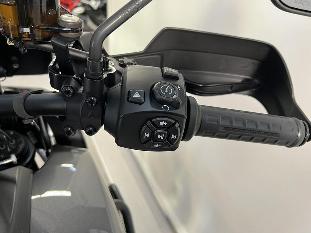 Harley-Davidson Pan America 1250 Special (2020 - 25) (9)