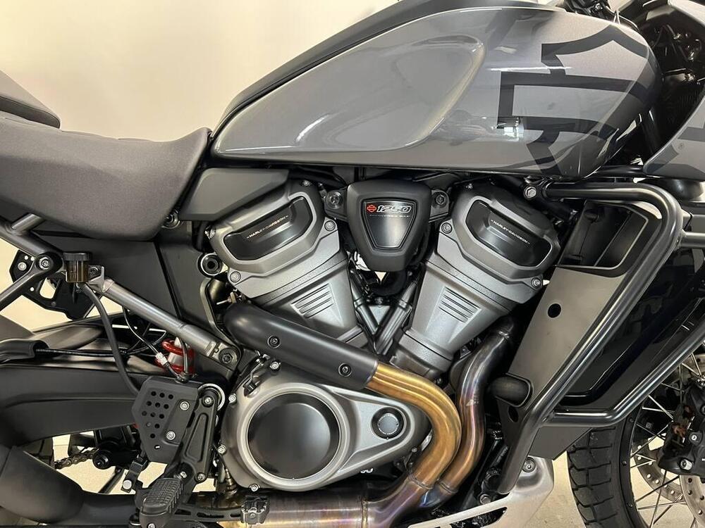 Harley-Davidson Pan America 1250 Special (2020 - 25) (12)