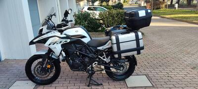 Benelli TRK 502X (2021 - 26) usata