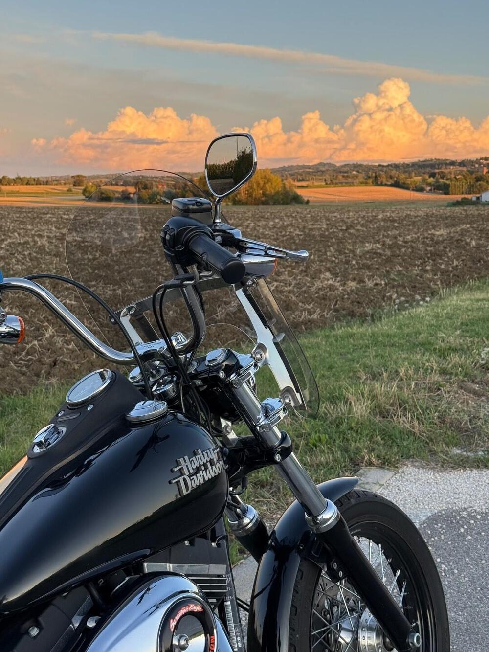 Parabrezza Sgancio Rapido Harley Harley-Davidson (6)