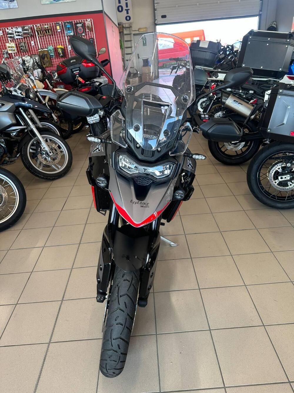 Triumph Tiger 900 GT Pro (2024 - 26)