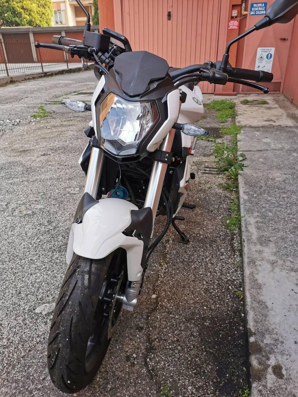 Benelli BN 125 (2021 - 25) (5)