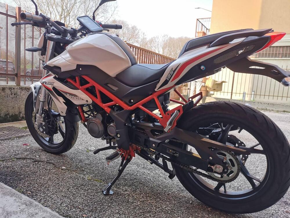 Benelli BN 125 (2021 - 25) (2)
