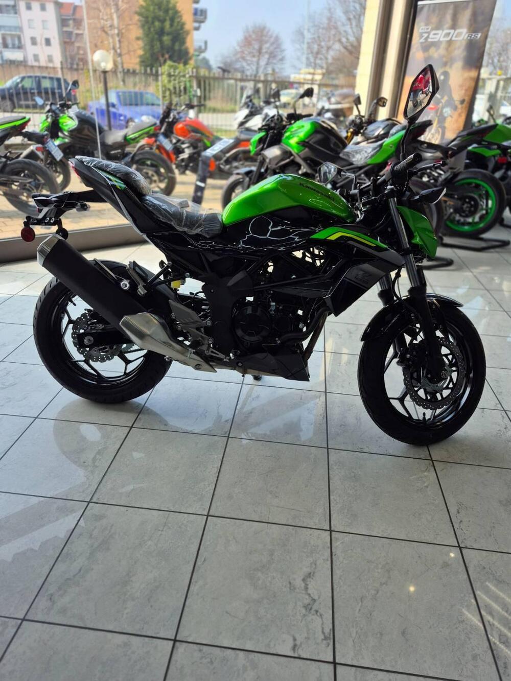 Kawasaki Z 125 (2025 - 26) (3)