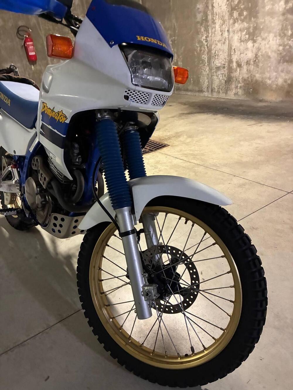 Honda dominator 650 (2)