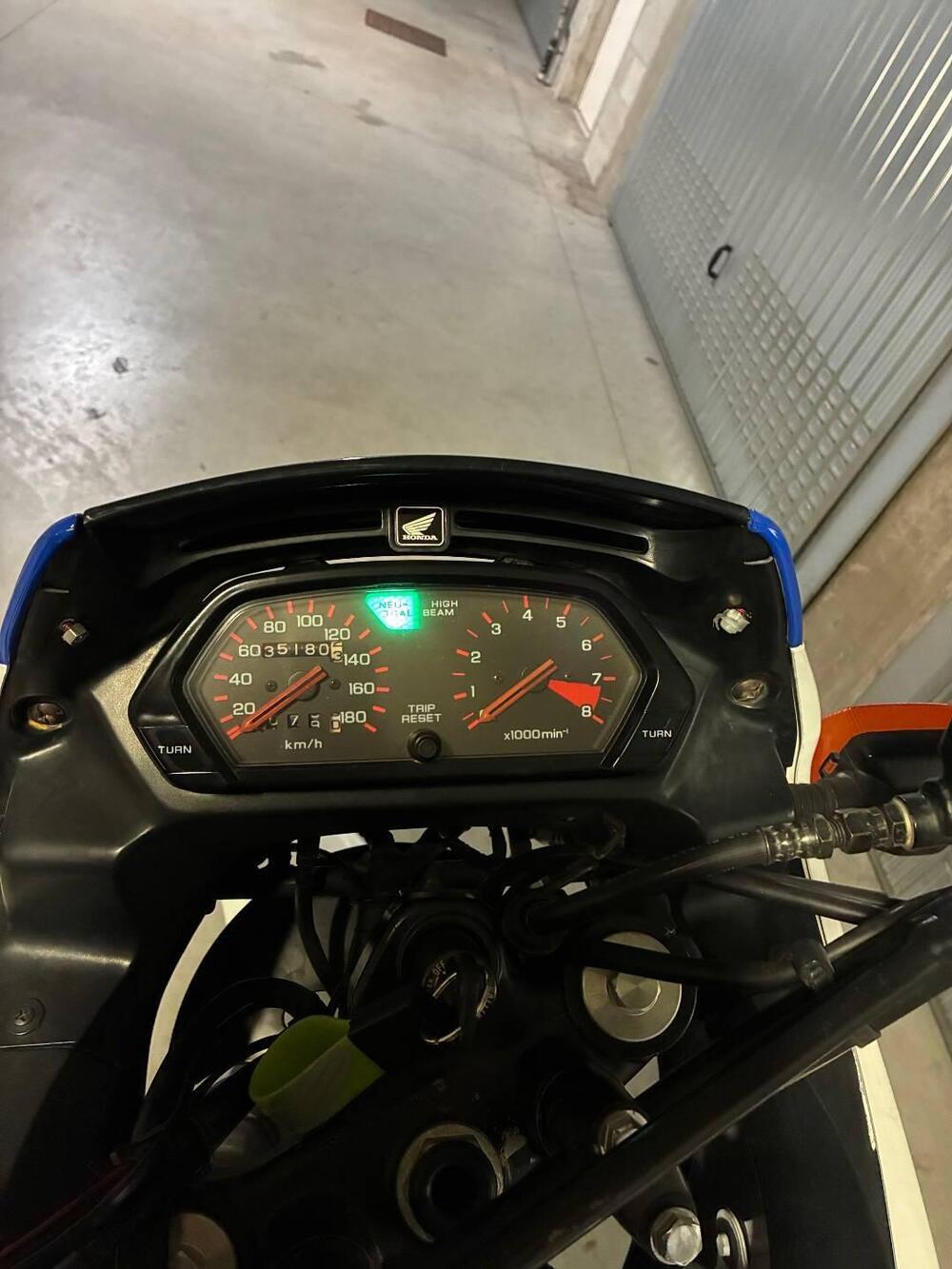 Honda dominator 650 (3)