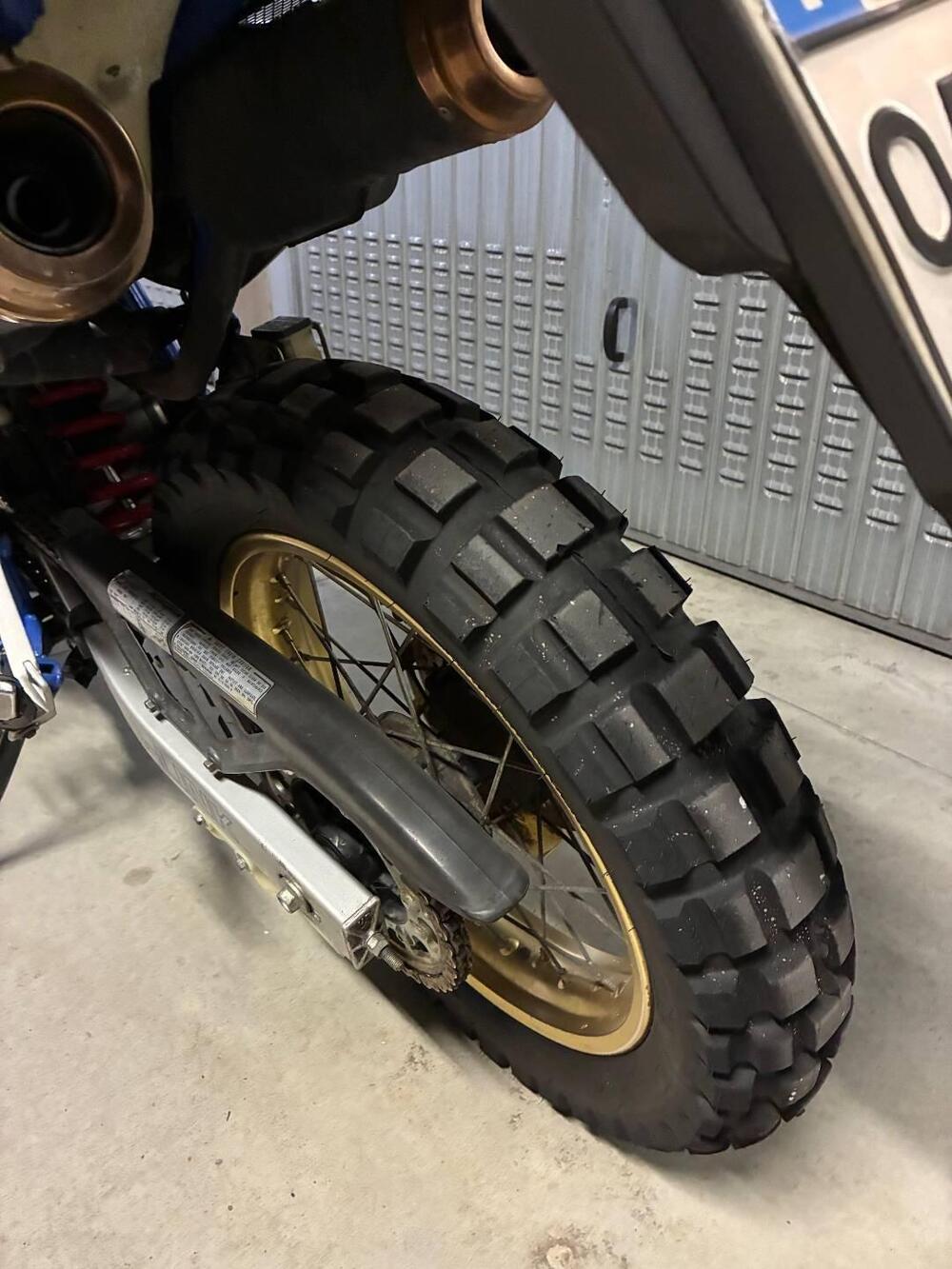 Honda dominator 650 (4)