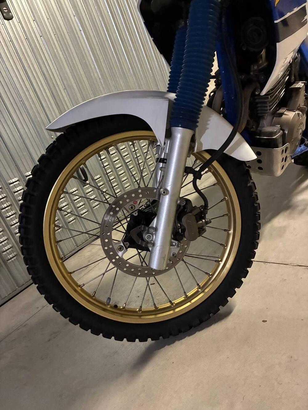 Honda dominator 650 (5)