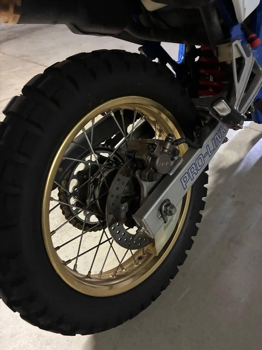 Honda dominator 650 (6)