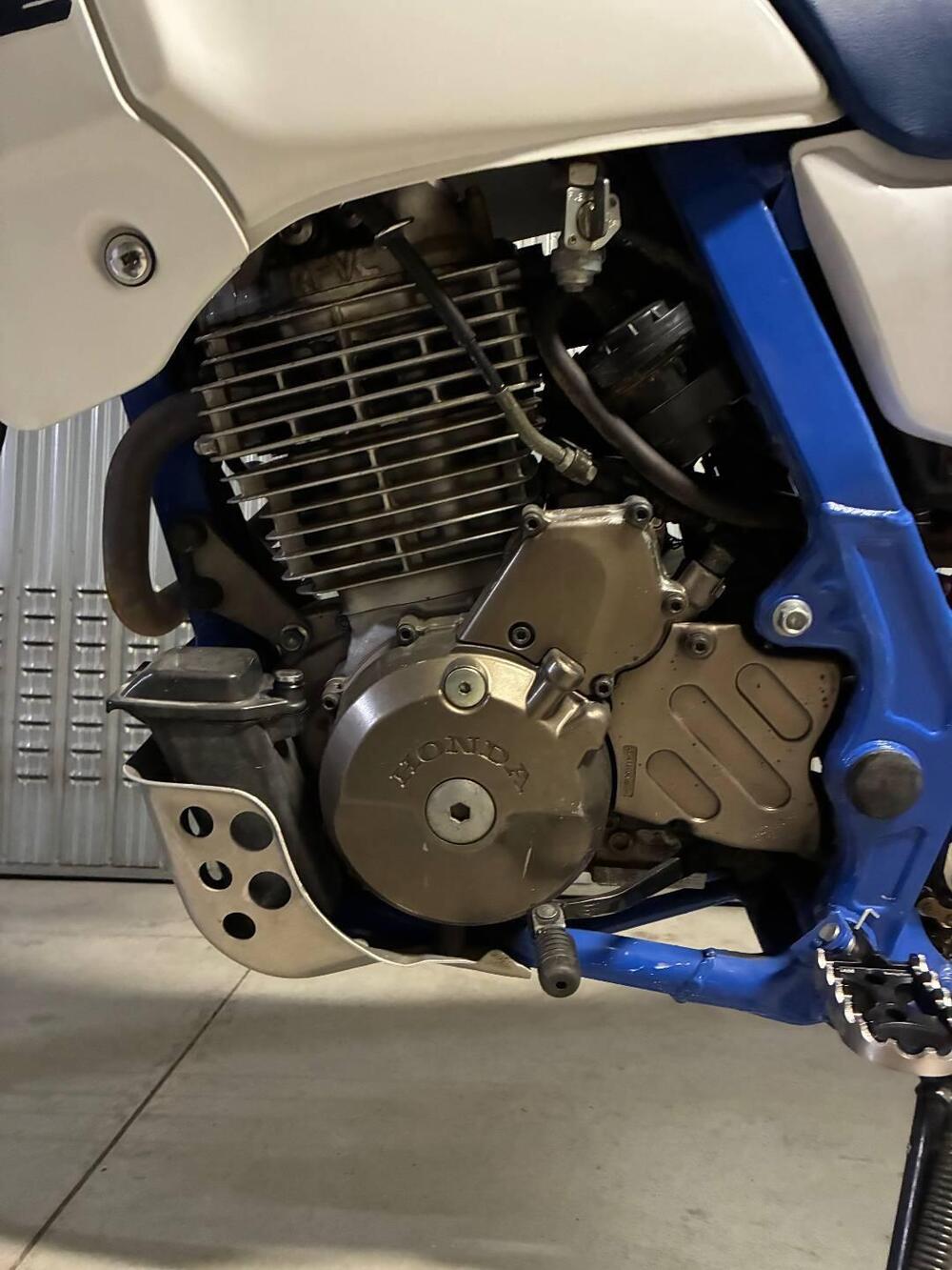 Honda dominator 650 (8)