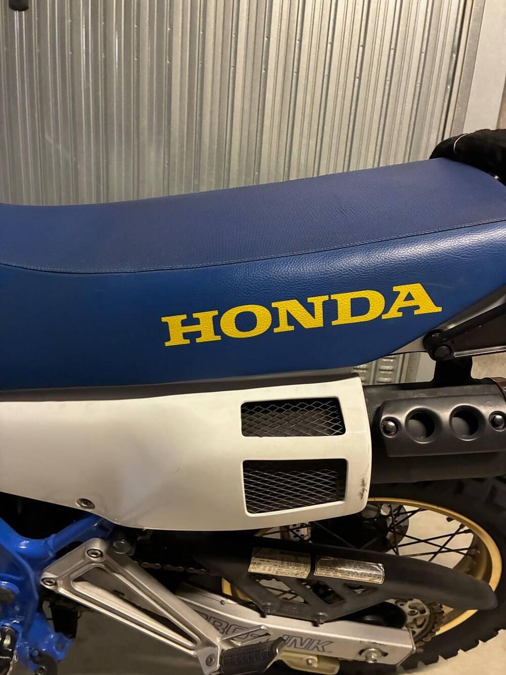 Honda dominator 650 (9)