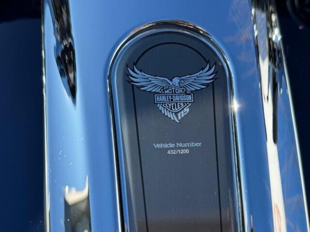 Harley-Davidson 117 Limited (2018 - 20) - FLHTKSE (19)