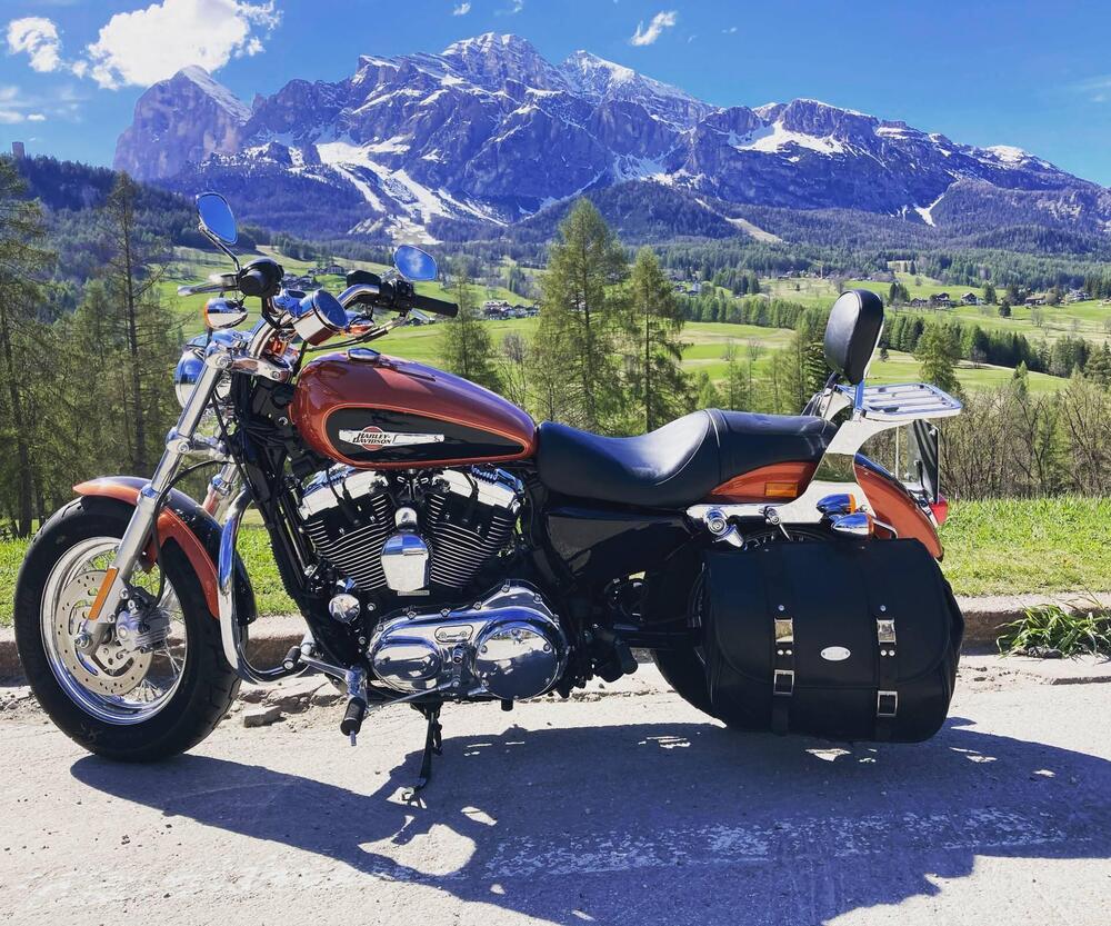 Harley-Davidson 1200 Custom (2007 - 13) - XL 1200C