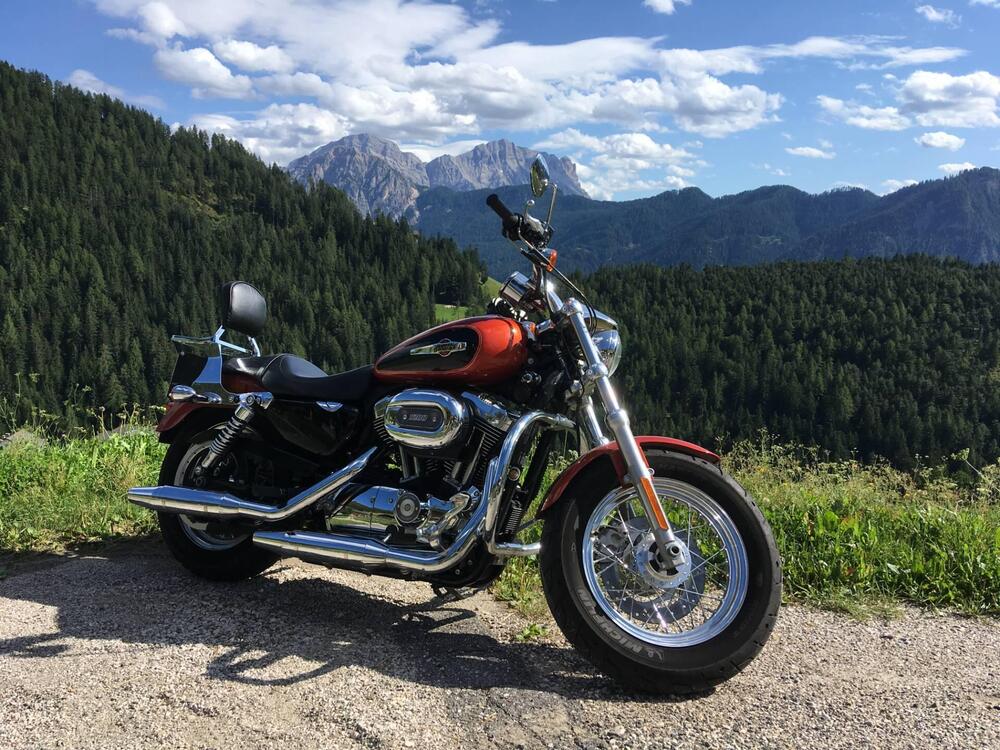 Harley-Davidson 1200 Custom (2007 - 13) - XL 1200C (2)