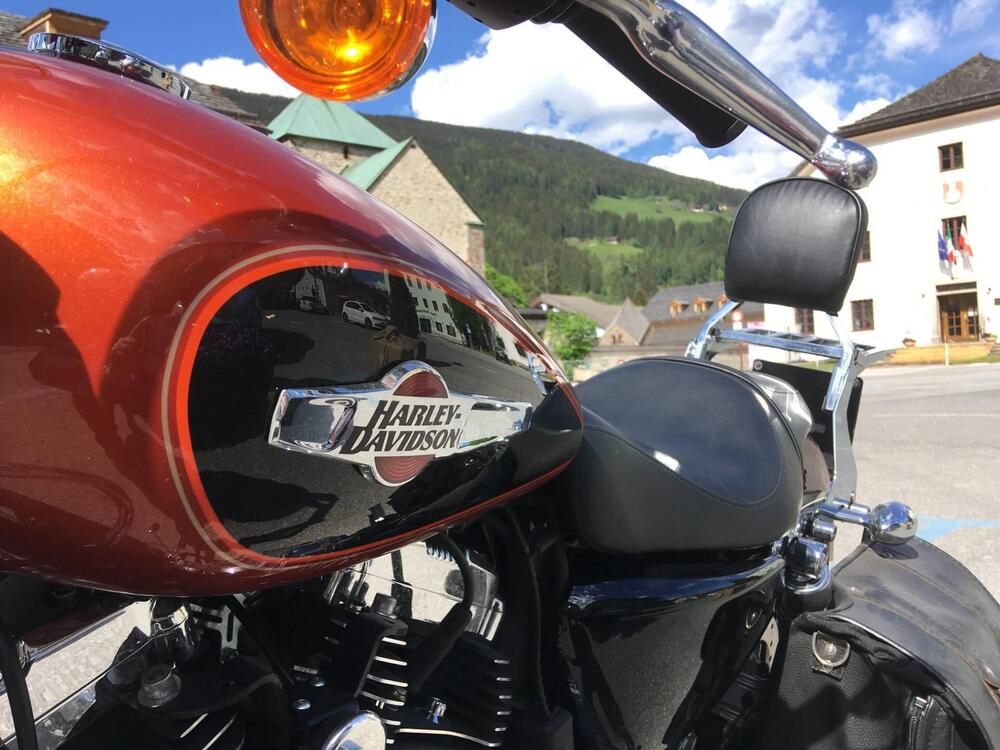 Harley-Davidson 1200 Custom (2007 - 13) - XL 1200C (3)