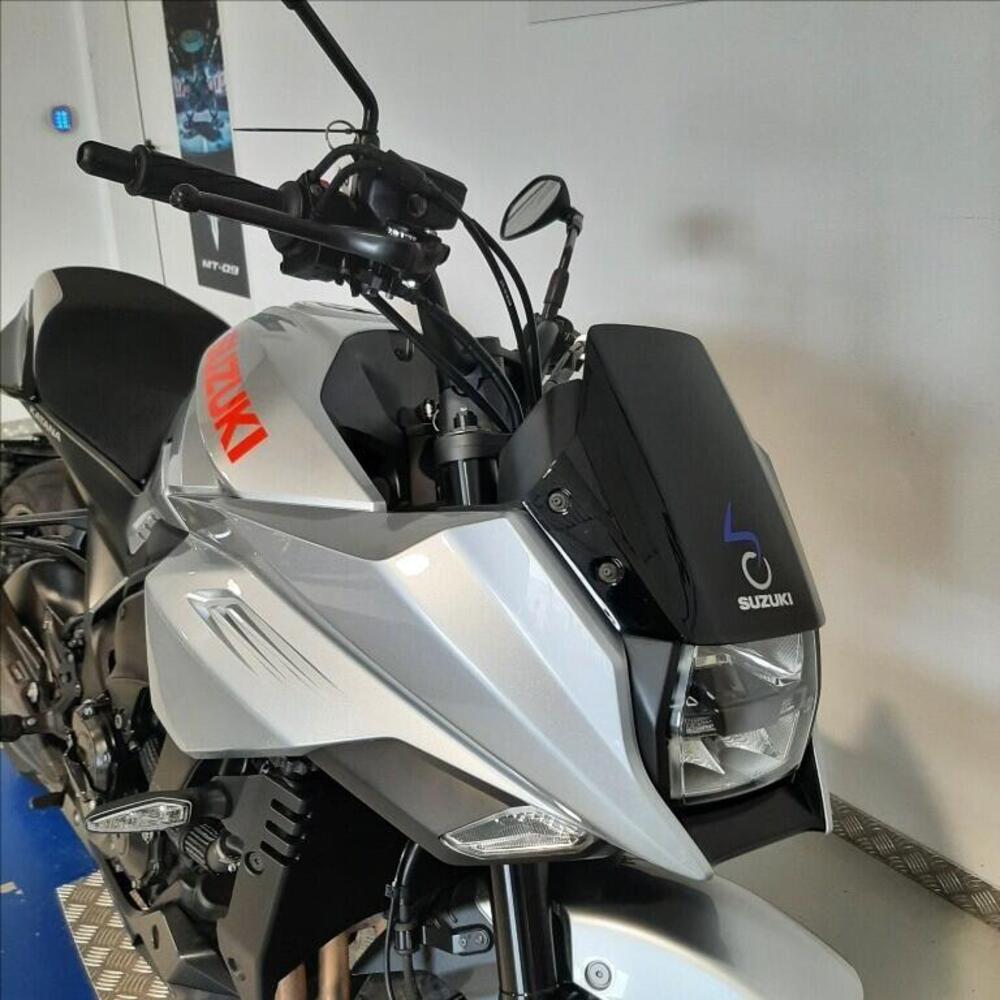 Suzuki Katana 1000 Jindachi (2019 - 20) (4)