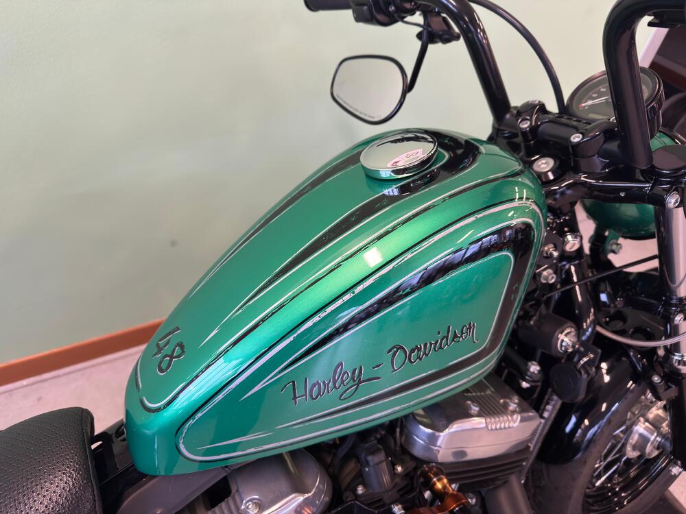 Harley-Davidson 1200 Forty-Eight (2010 - 15) (9)