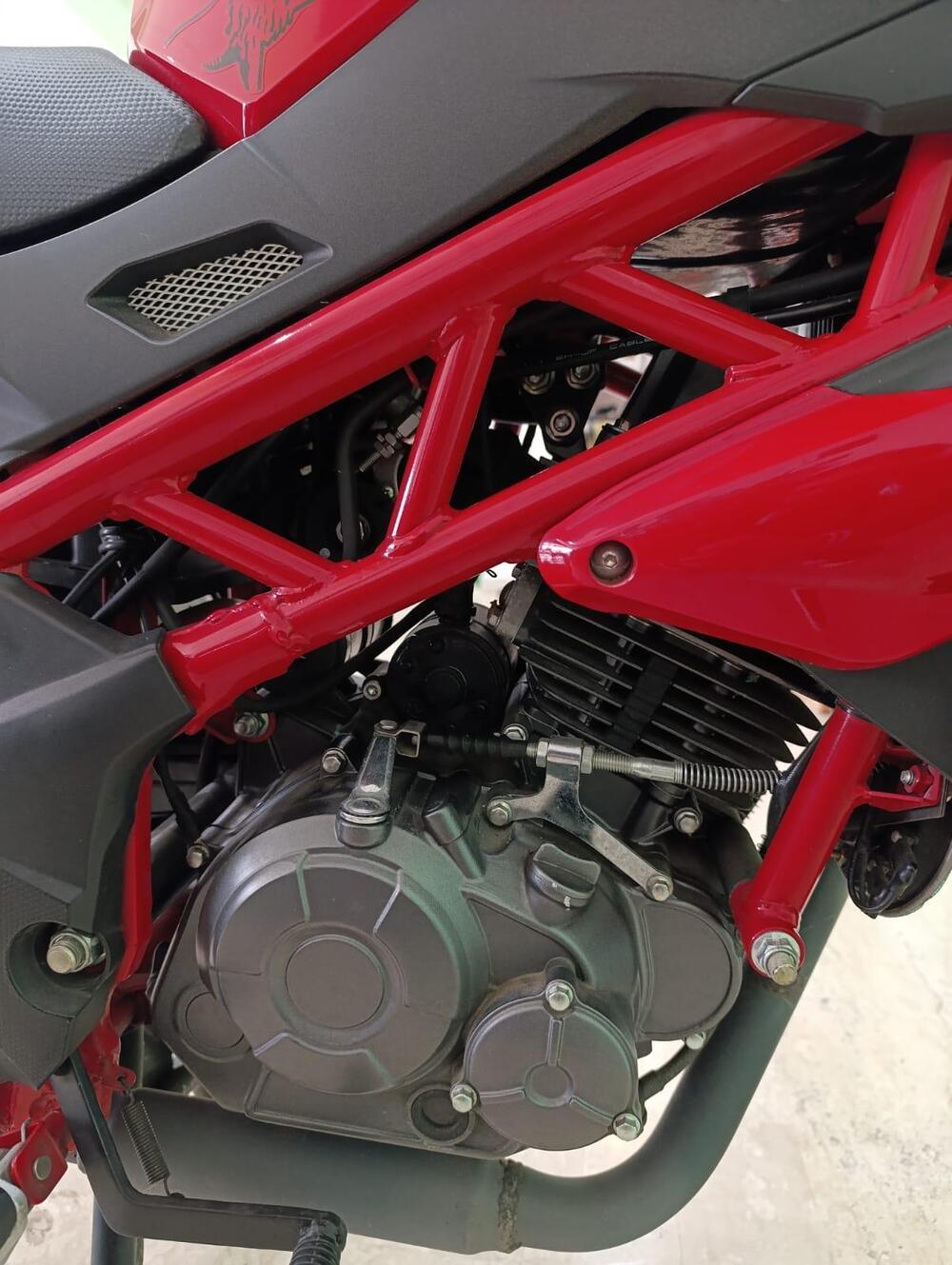 Benelli BN 125 (2018 - 20) (9)