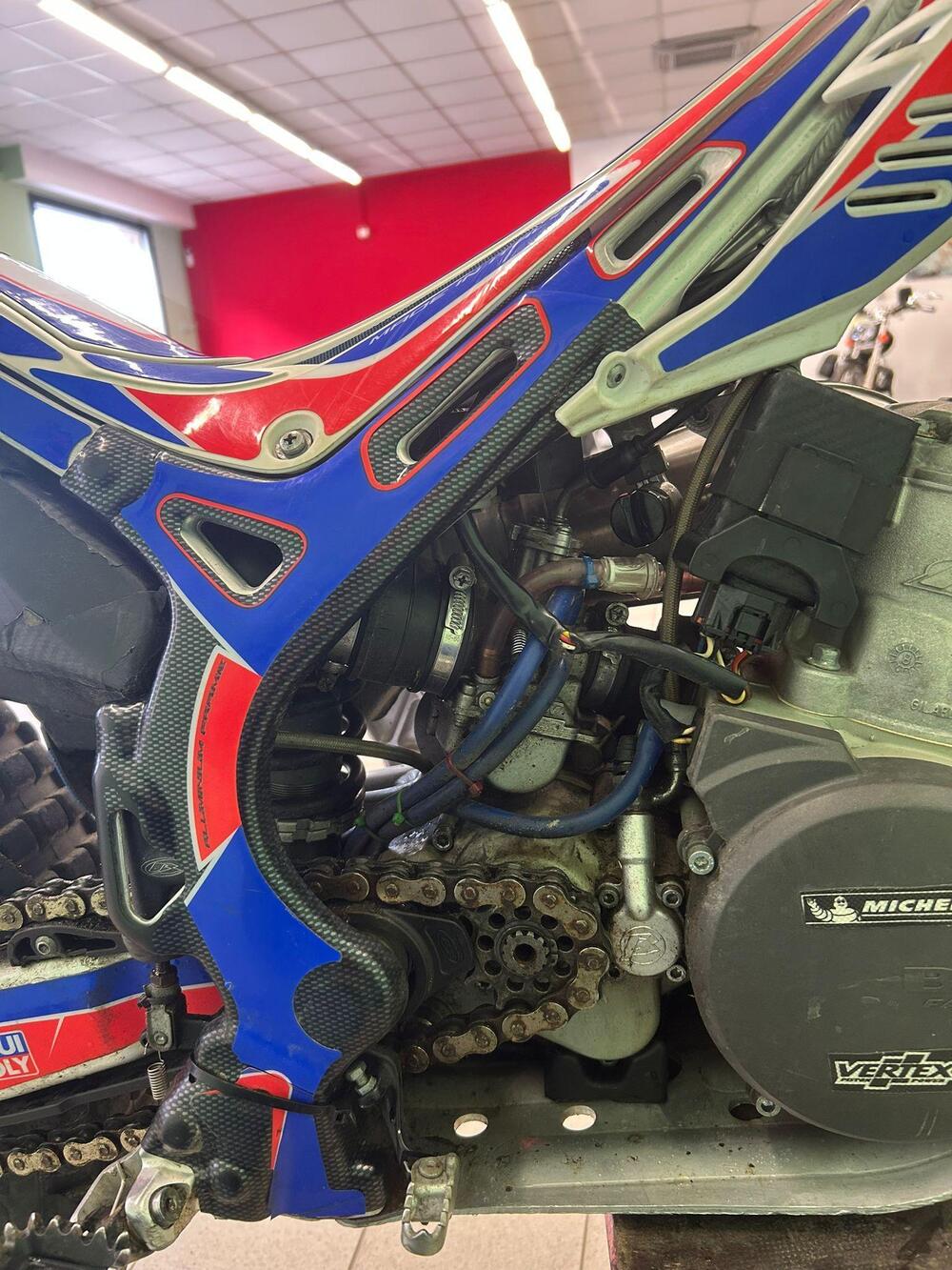 Betamotor Evo 290 2t (2008 - 09) (5)