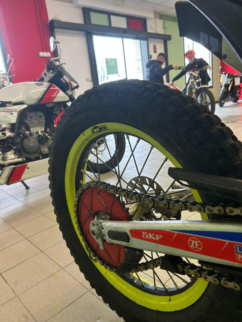 Betamotor Evo 290 2t (2008 - 09) (7)