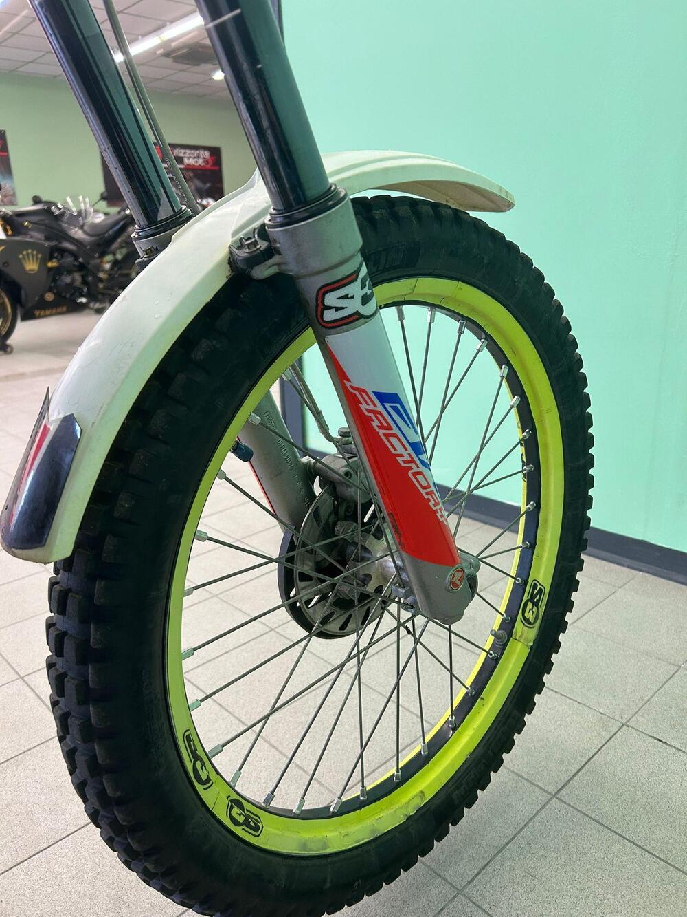 Betamotor Evo 290 2t (2008 - 09) (8)