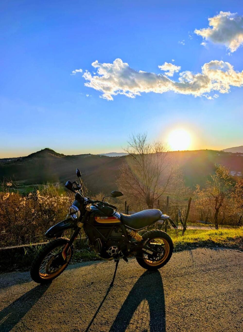 Ducati Scrambler 800 Desert Sled (2017 - 20)