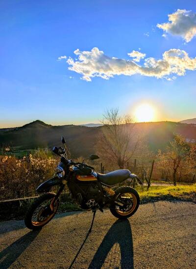 Ducati Scrambler 800 Desert Sled (2017 - 20) usata