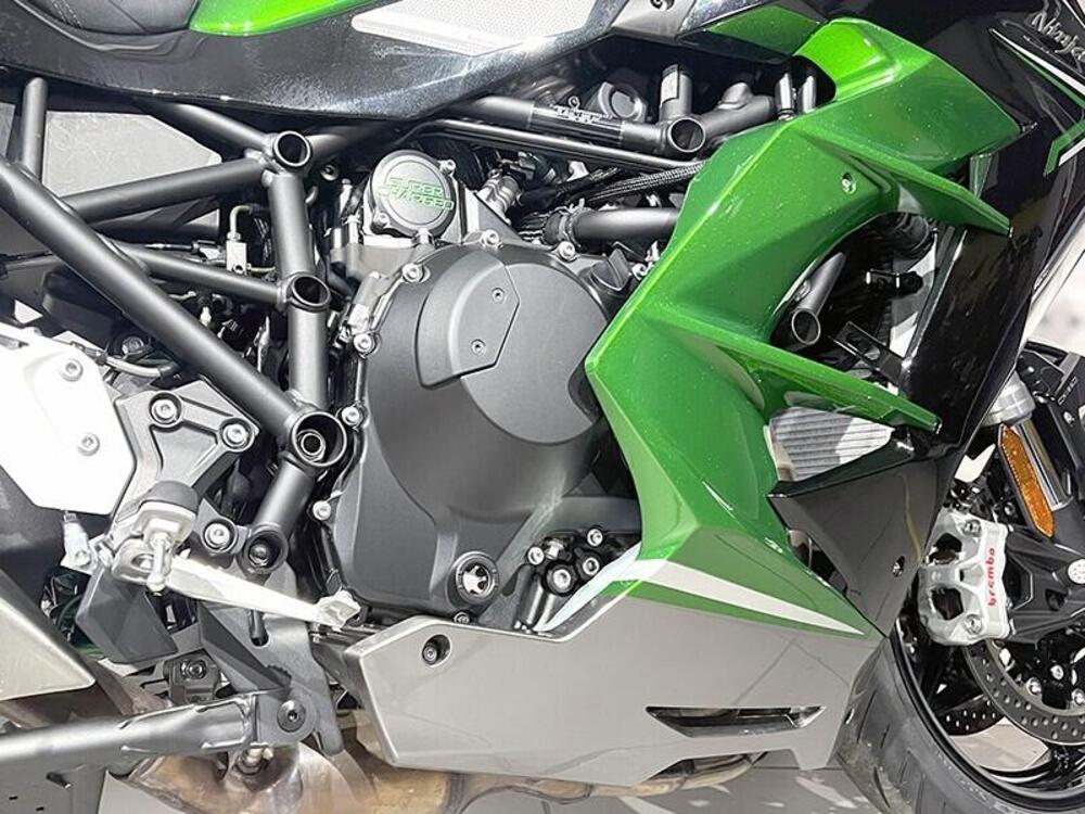 Kawasaki Ninja H2 SX SE (2023 - 26) (3)