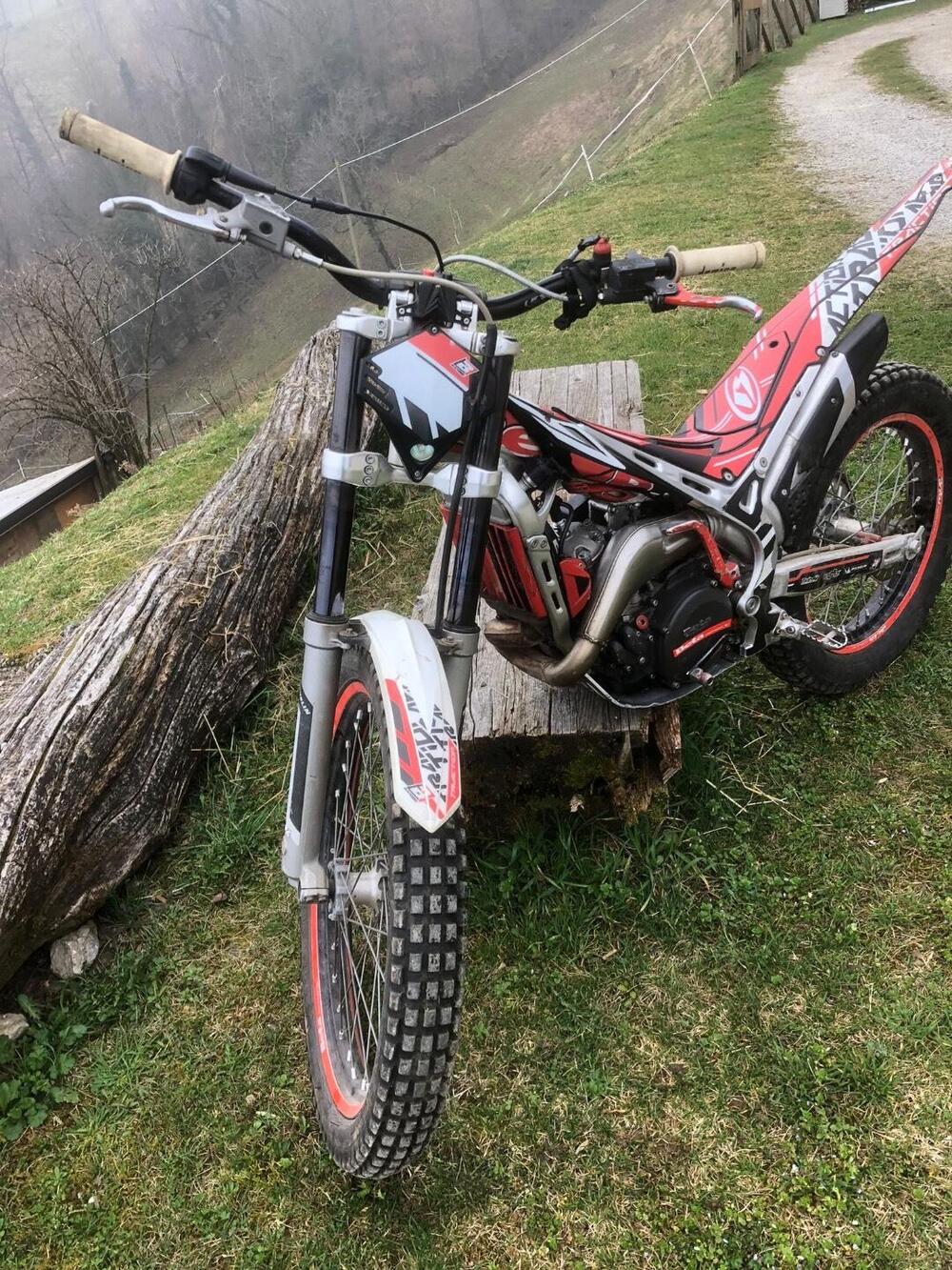 Betamotor Evo 290 2t (2008 - 09) (2)