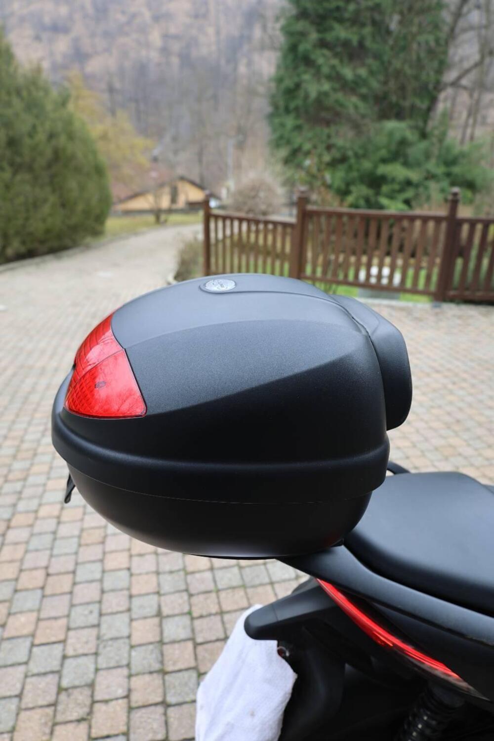 Zontes ZT350-D (2023 - 25) (6)