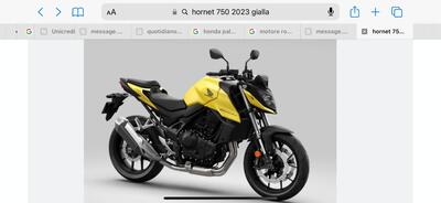 Honda CB 750 Hornet (2023 - 24) usata