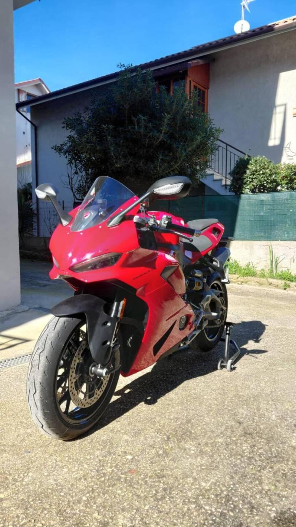 Ducati Panigale V2 (2025 - 26)