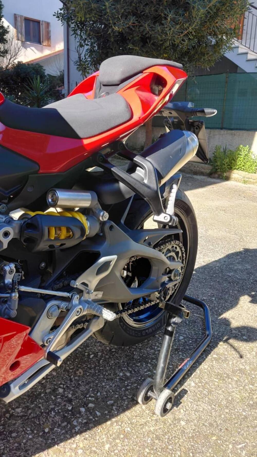 Ducati Panigale V2 (2025 - 26) (3)