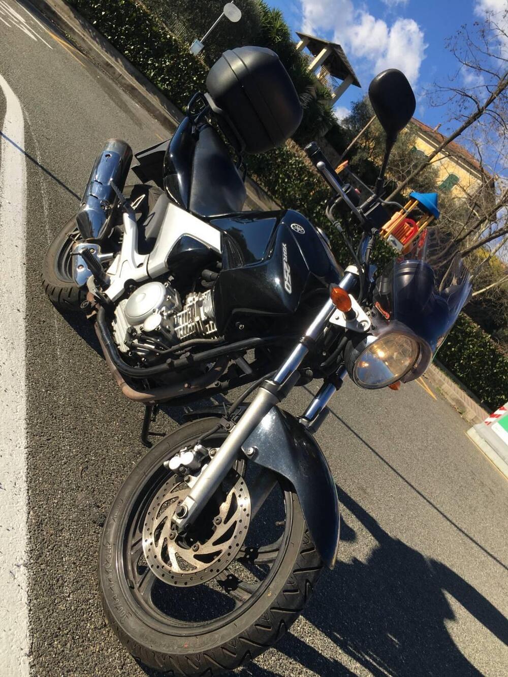 Yamaha YBR 250 (2006 - 13) (5)