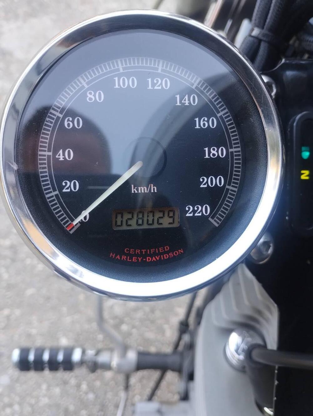 Harley-Davidson 883 Standard (2001 - 05) - XL 883 (2)