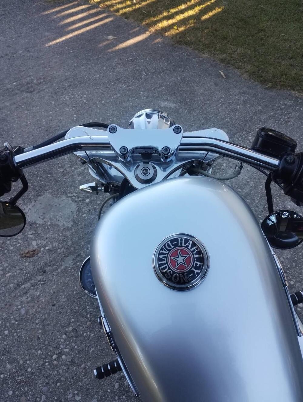 Harley-Davidson 883 Standard (2001 - 05) - XL 883 (3)